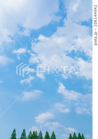 大空と樹木  背景素材 106144942