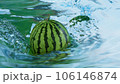 水の流れで冷やされるスイカ　夏 106146874
