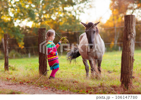 Little girl feeding a horse Little girl feeding a horse 106147780