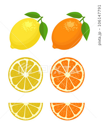 Set of lemon slice lemon fruit and leaf Vector illustration. 106147791
