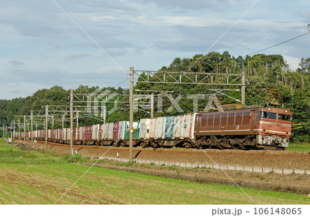 北陸本線　細呂木ー芦原温泉　JR貨物　EF81-116（富山） 106148065