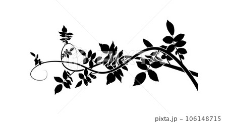 ornamental element hawthorn weaving plant. vector 106148715