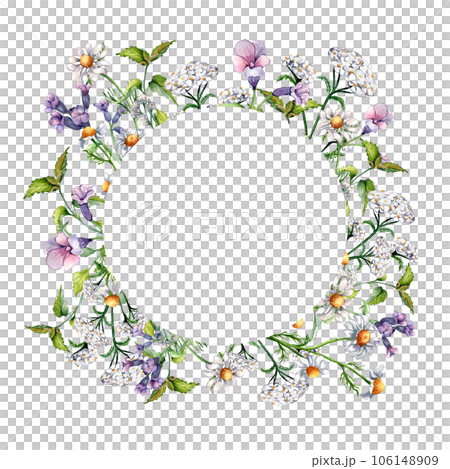 Circle frame of meadow medicinal flower, lungwort herb plants watercolor illustration isolated on white. Chamomile, nettle, achillea millefolium hand drawn. Design for label, package, postcard Circle frame of meadow medicinal flower, lungwort herb plants watercolor illustration isolated on white. Chamomile, nettle, achillea millefolium hand drawn. Design for label, package, postcard 106148909