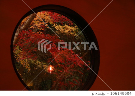 窓際の紅葉 窓際の紅葉 106149604