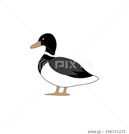 duck icon logo vector design template 106151272