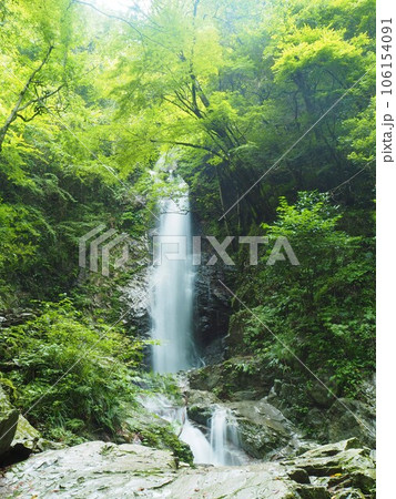 東京都で唯一「日本の滝百選」に選ばれている払沢の滝 東京都で唯一「日本の滝百選」に選ばれている払沢の滝 106154091