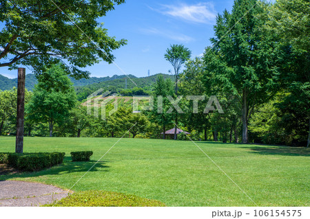矢瀬遺跡 広場 真夏の風景 群馬県みなかみ町 矢瀬遺跡 広場 真夏の風景 群馬県みなかみ町 106154575
