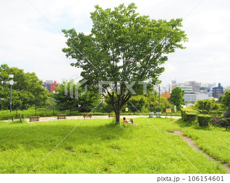 東京都目黒区青葉台にある目黒区立の公園「西郷山公園」 東京都目黒区青葉台にある目黒区立の公園「西郷山公園」 106154601