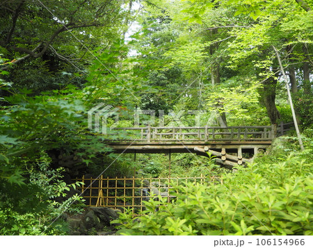 都心部に広がる閑静な公園「有栖川宮記念公園」 都心部に広がる閑静な公園「有栖川宮記念公園」 106154966
