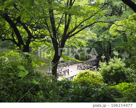 都心部に広がる閑静な公園「有栖川宮記念公園」 都心部に広がる閑静な公園「有栖川宮記念公園」 106154977