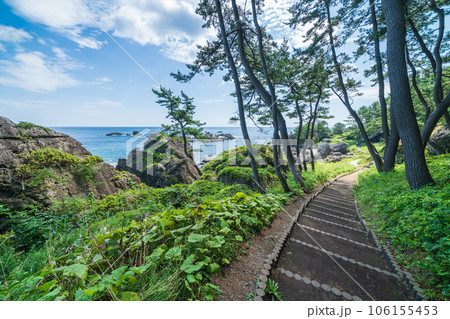 「青森県」淀の松原・遊歩道 種差海岸 「青森県」淀の松原・遊歩道 種差海岸 106155453