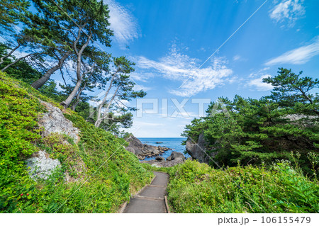 「青森県」淀の松原・遊歩道 種差海岸 「青森県」淀の松原・遊歩道 種差海岸 106155479