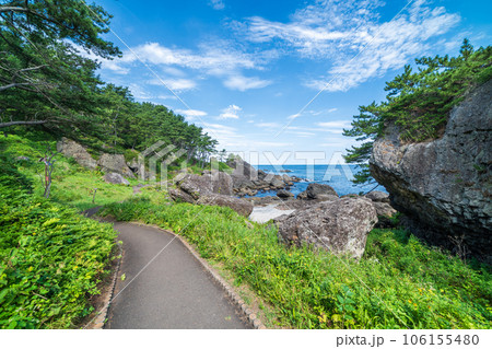 「青森県」淀の松原・遊歩道 種差海岸 「青森県」淀の松原・遊歩道 種差海岸 106155480