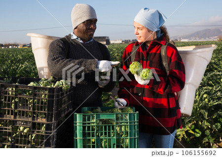 African american man farmer stands with a young woman colleague, discussing working moments African american man farmer stands with a young woman colleague, discussing working moments 106155692