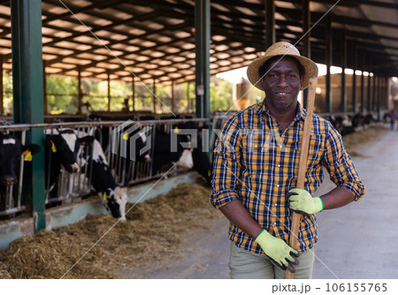 Man farmer posing at cowshed on farm 106155765