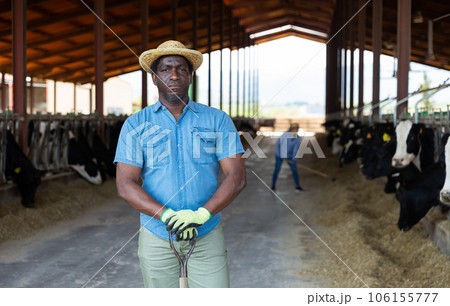 African farmer posing at the cow farm 106155777