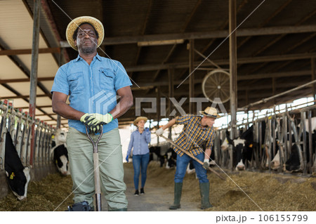 Man farmer posing at cowshed on farm 106155799