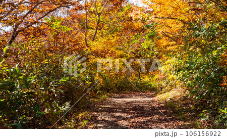 秋の猫魔ヶ岳・雄国沼トレッキング（雄国沼休憩舎～雄国沼湿原） 106156922