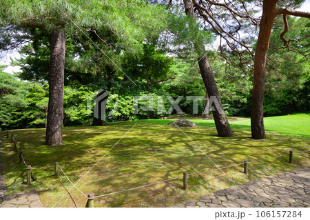 殿ヶ谷戸庭園の大芝生 106157284