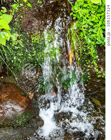背景素材　夏の清涼な景色　清らかな湧水の流れと小さな滝 106157324