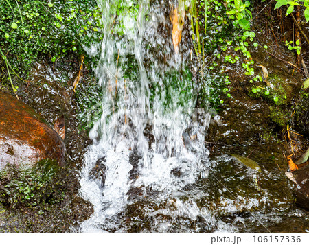 背景素材 夏の清涼な景色 清らかな湧水の流れと小さな滝 背景素材 夏の清涼な景色 清らかな湧水の流れと小さな滝 106157336