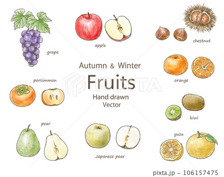 Botanical Fruit Chart For Lemon, Cherries And Pears Poster by Unknown -  Pixels