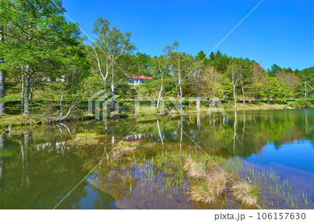 新緑の長野県立科町の女神湖北岸で新緑の水辺の風景を見る 新緑の長野県立科町の女神湖北岸で新緑の水辺の風景を見る 106157630