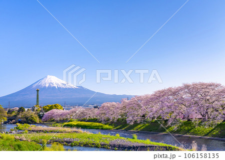 静岡県富士市 龍巌淵の桜と富士山 静岡県富士市 龍巌淵の桜と富士山 106158135