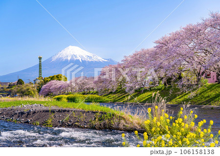 静岡県富士市 龍巌淵の桜と富士山 静岡県富士市 龍巌淵の桜と富士山 106158138