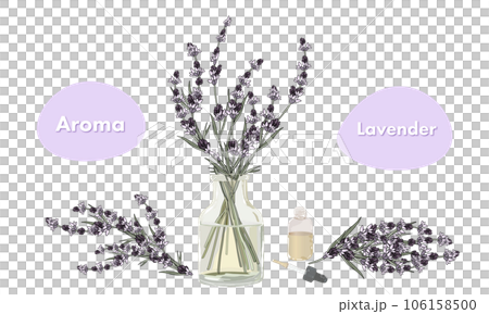 Lavender essential oil & aromatherapy - Stock Illustration [106158500] -  PIXTA