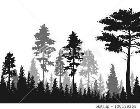 High grey fir trees forest on white silhouette High grey fir trees forest on white silhouette 106159268