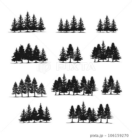 Spruce fir forests, pine tree silhouettes 106159270