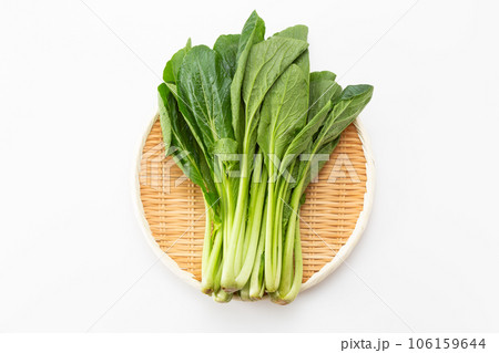小松菜 106159644