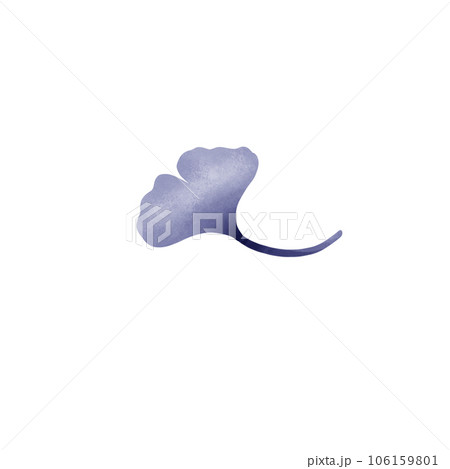 Ginkgo leaf 106159801
