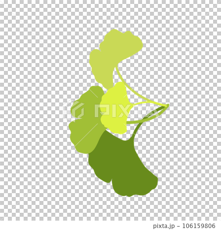 Ginkgo leaf 106159806