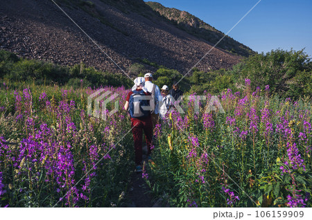 group of tourists travelers with backpacks hiking in field in valley in mountains in summer group of tourists travelers with backpacks hiking in field in valley in mountains in summer 106159909