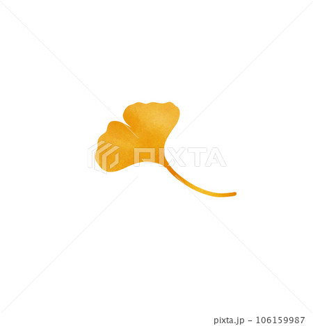 Ginkgo 106159987