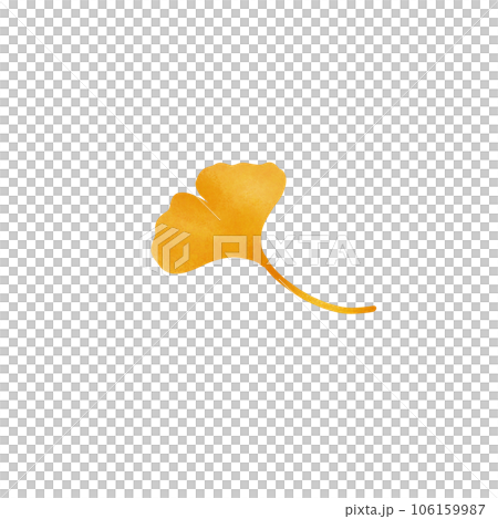 Ginkgo 106159987