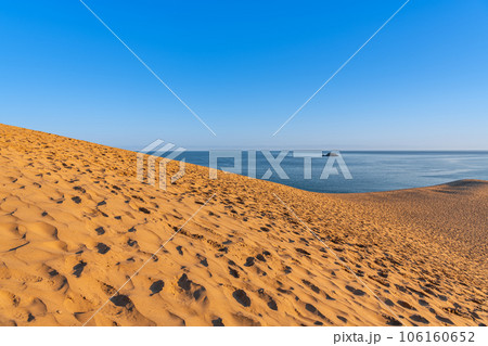 鳥取県鳥取市　鳥取の代表的な観光地　快晴の鳥取砂丘 106160652