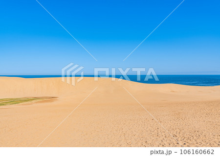 鳥取県鳥取市　鳥取の代表的な観光地　快晴の鳥取砂丘（馬の背） 106160662