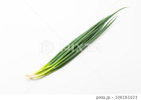 葉ネギ 106161023