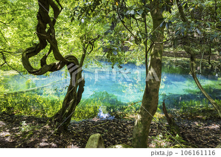丸池様　山形県観光スポット 106161116
