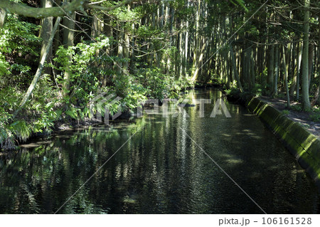 牛渡川 うしわたりがわ 牛渡川 うしわたりがわ 106161528
