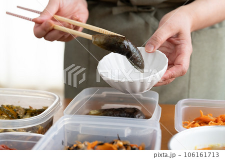 作り置き 茄子の煮浸し 作り置き 茄子の煮浸し 106161713