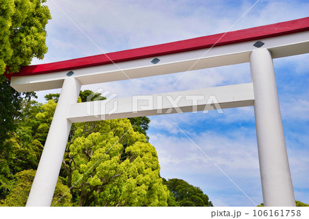 鎌倉宮の赤と白の鳥居（神奈川県鎌倉市二階堂） 106161758