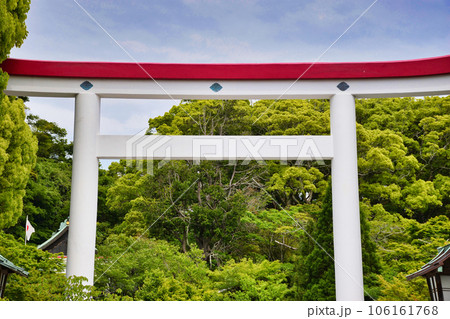 鎌倉宮の赤と白の鳥居(神奈川県鎌倉市二階堂) 鎌倉宮の赤と白の鳥居(神奈川県鎌倉市二階堂) 106161768