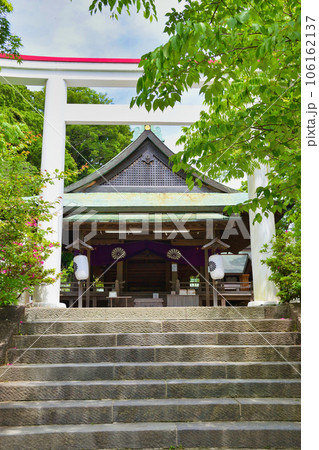 鎌倉宮の本殿と赤と白の鳥居(神奈川県鎌倉市二階堂) 鎌倉宮の本殿と赤と白の鳥居(神奈川県鎌倉市二階堂) 106162137