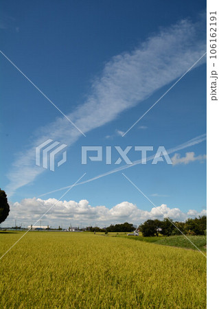 夏空に伸びる飛行機雲 夏空に伸びる飛行機雲 106162191