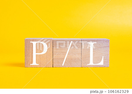 【経済】損益計算書　PL 106162329