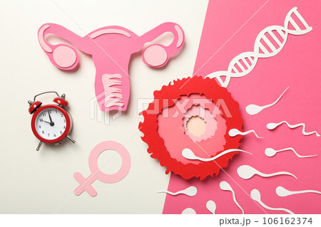 Concept of fertilization, period of ovulation, ovum. Concept of fertilization, period of ovulation, ovum. 106162374
